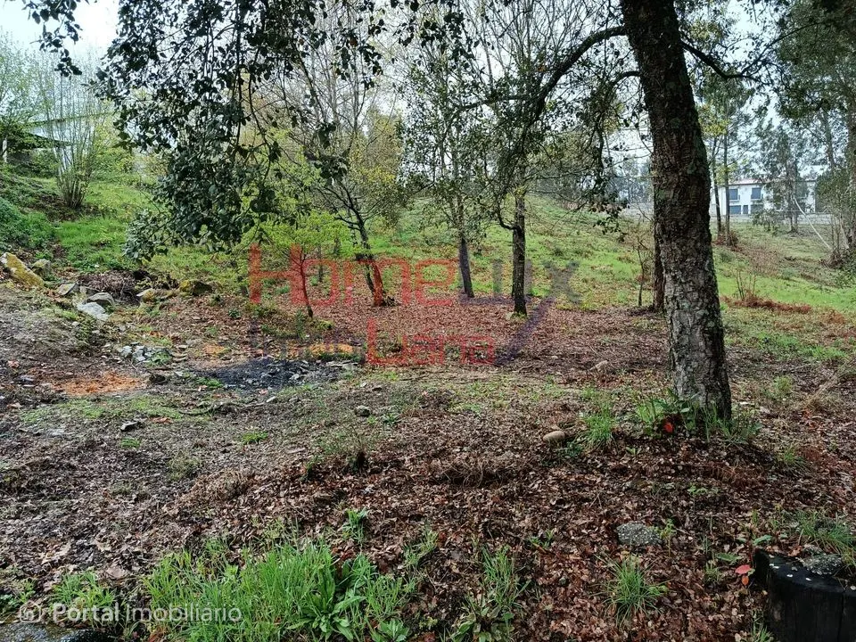 Terreno Urbanizável nas Termas de São Pedro do Sul