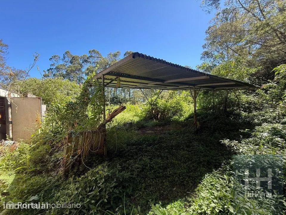 Terreno plano com 1.240 m² em São Jorge