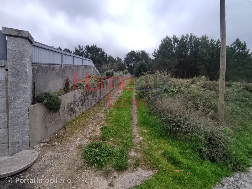 Terreno em Castro Daire