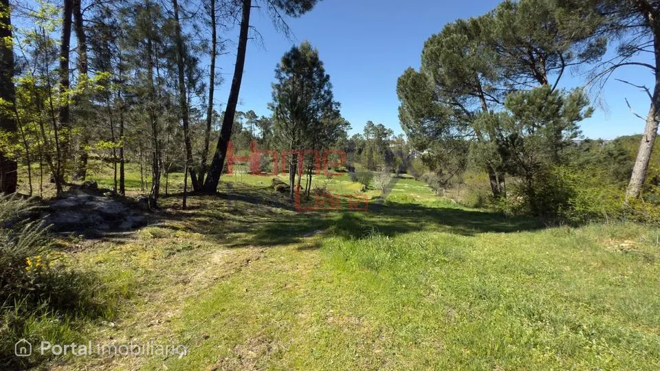 Land for sale in São João de Lourosa