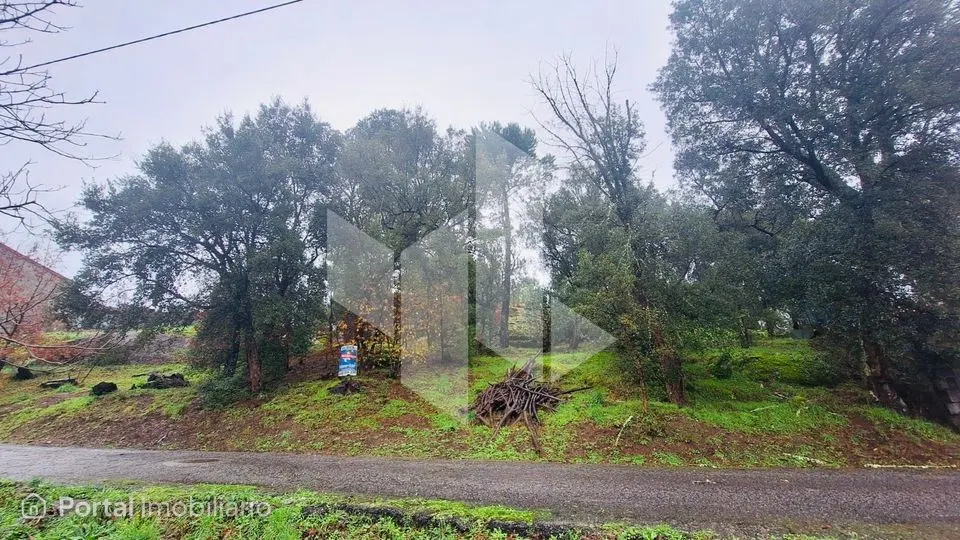 Terreno Para Construção Venda em Parada de Gonta,Tondela