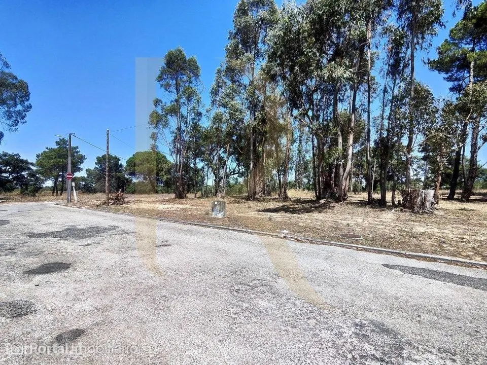 Venda conjunta de 105 lotes de terreno na Urbanização Pinhal de Neg...