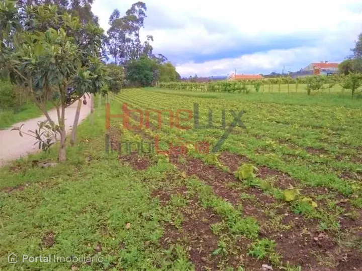 Land for sale in Travassô e Óis da Ribeira