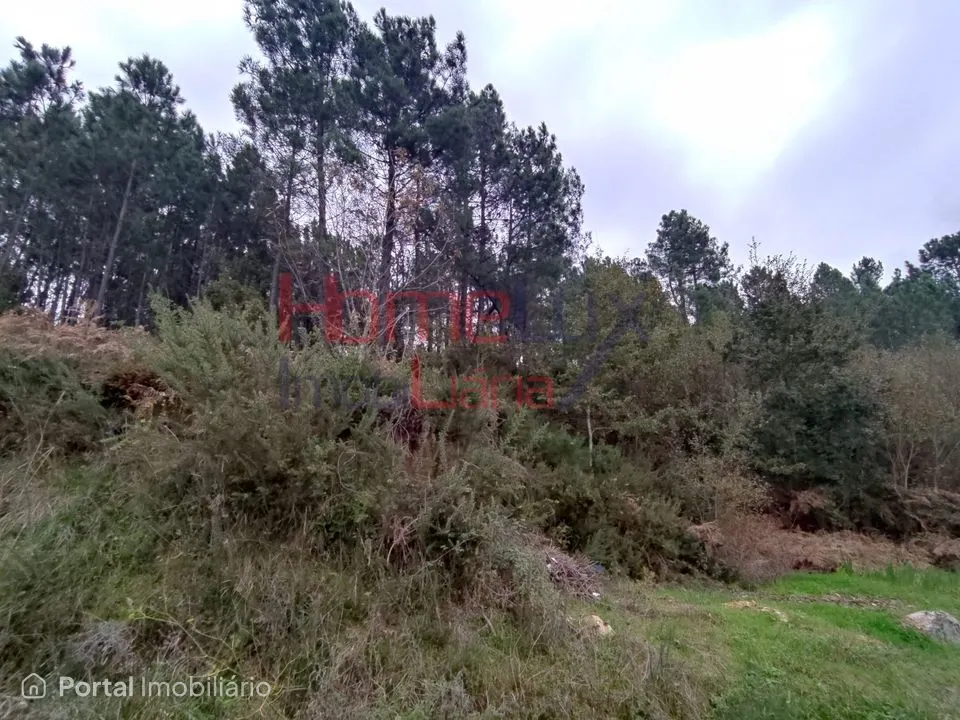 Terreno em Castro Daire