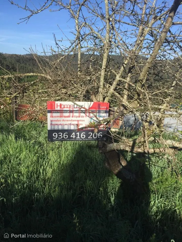 Land for sale in Branca