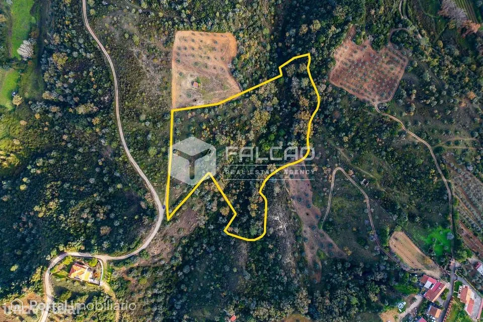 Terreno Misto Venda em Azoia de Cima e Tremês,Santarém