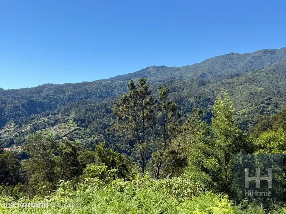 Terreno com 2.100 m² para construção em São Jorge