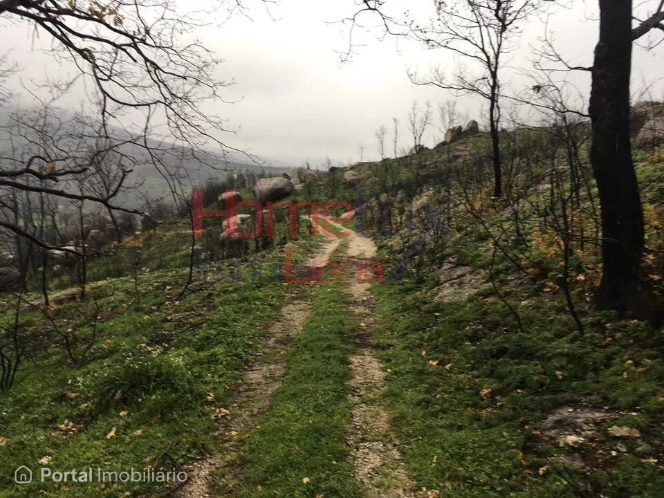 Quinta para venda em Carrapichana - Celorico da Beira
