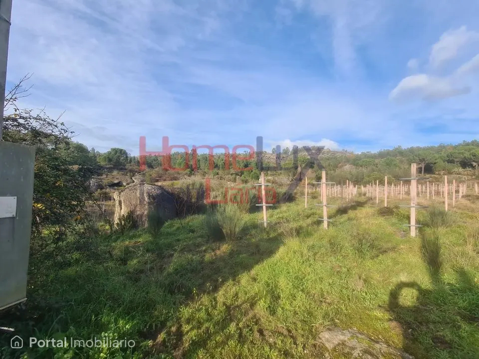 Quinta Agrícola do Dão para venda