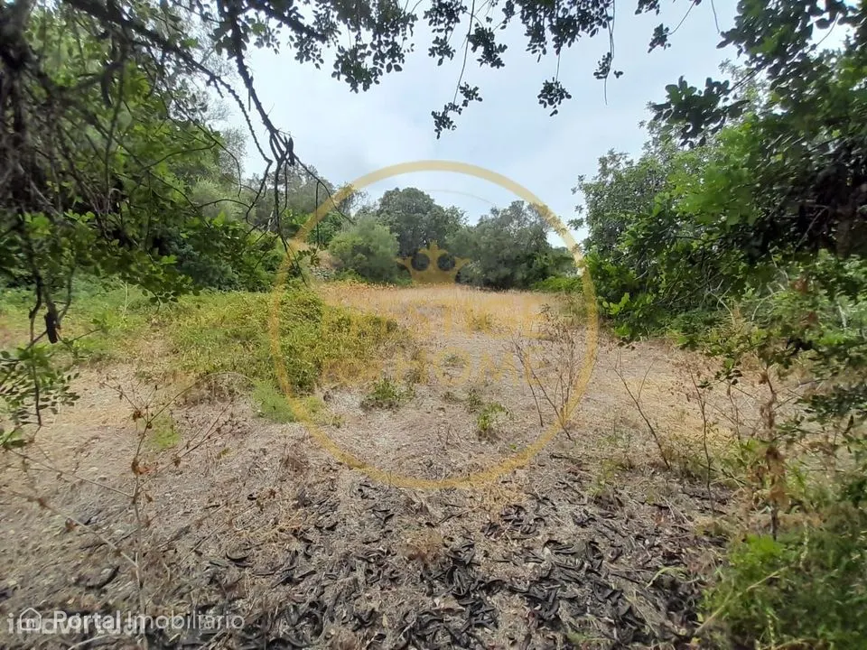 Oportunidade de Investimento: Terreno Agricola de 3.142 m² em Loulé,lo