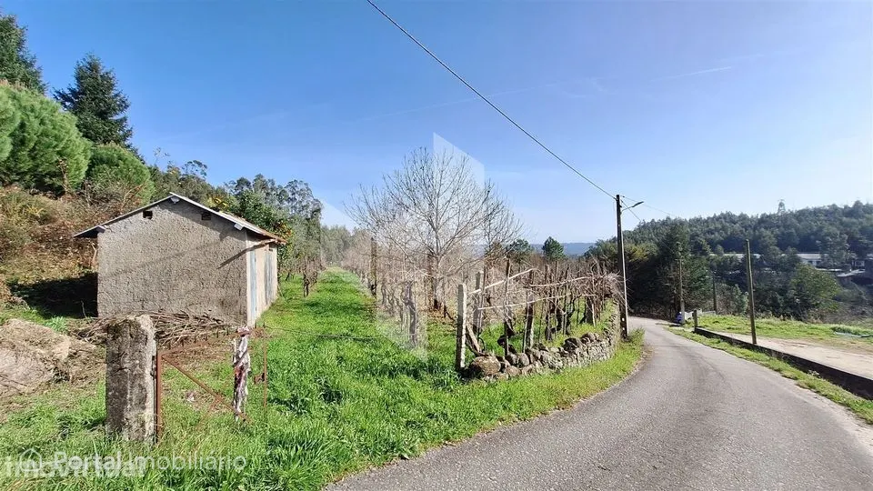 Terreno Rústico Venda em Santiago de Besteiros,Tondela