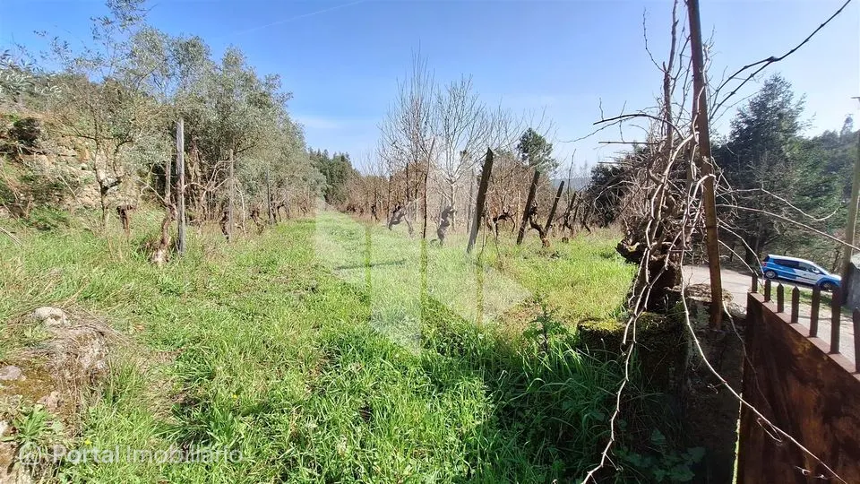 Terreno Rústico Venda em Santiago de Besteiros,Tondela