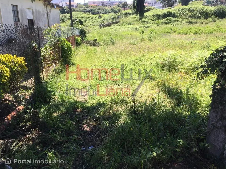 Land for sale in Branca