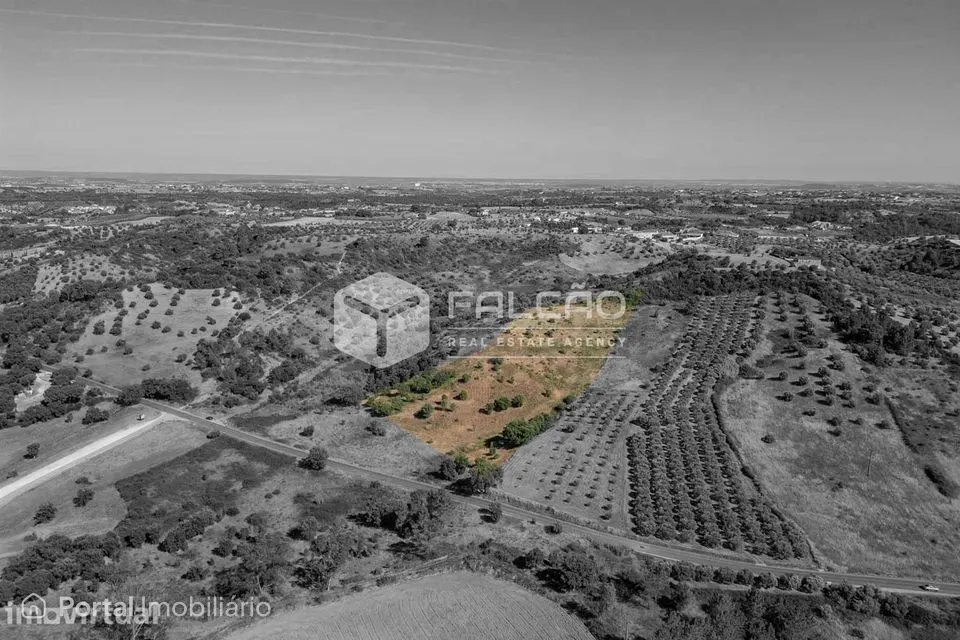Terreno Rústico Venda em Azoia de Cima e Tremês,Santarém