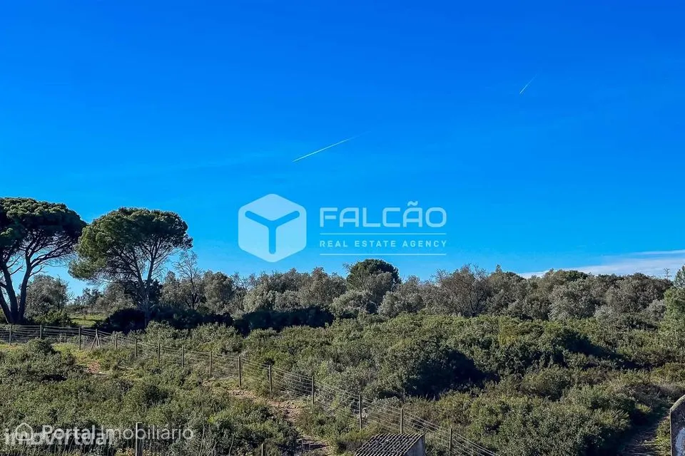 Terreno Venda em Almoster,Santarém