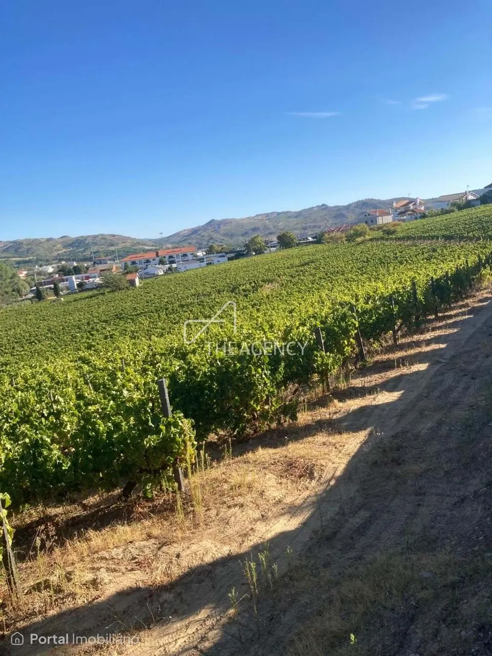 Terreno à venda em Alijó