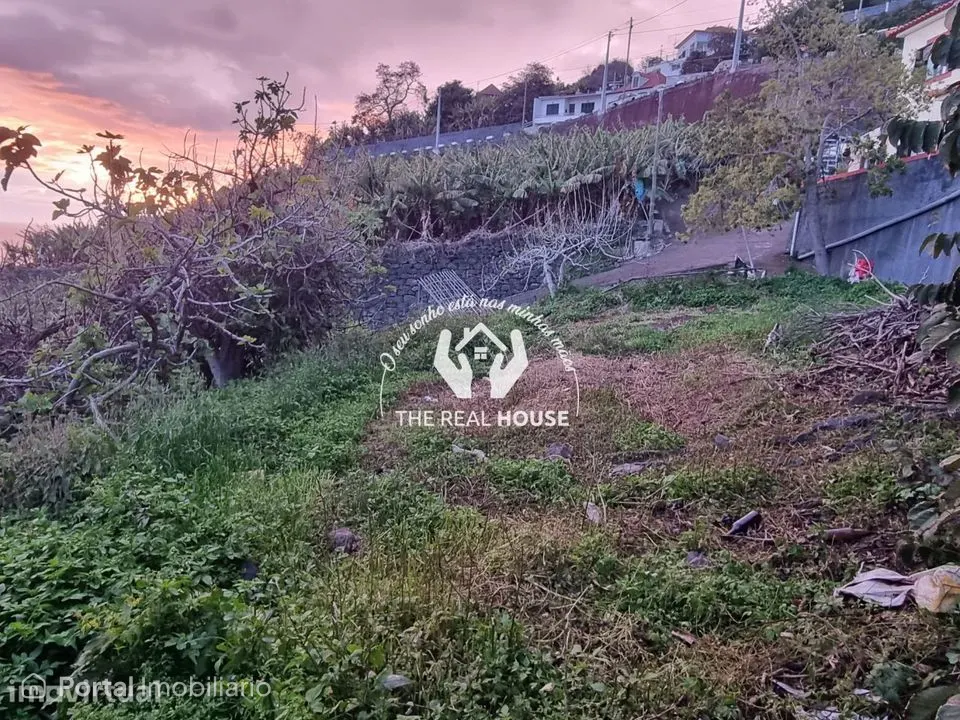 Terreno Ribeira brava