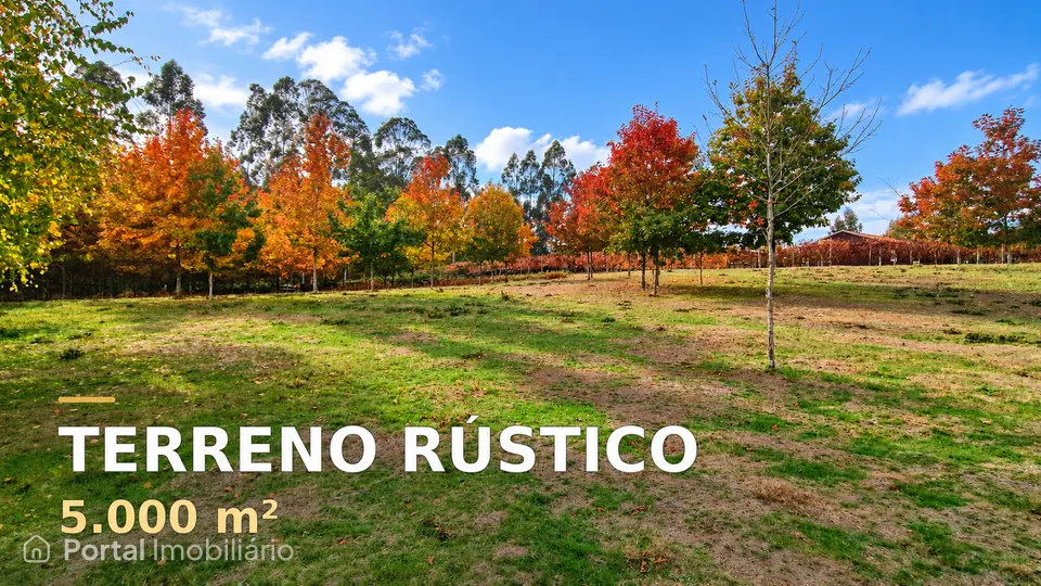 Terreno Rústico de 5.000 m² com Bons Acessos e Excelente Envolvente Natural