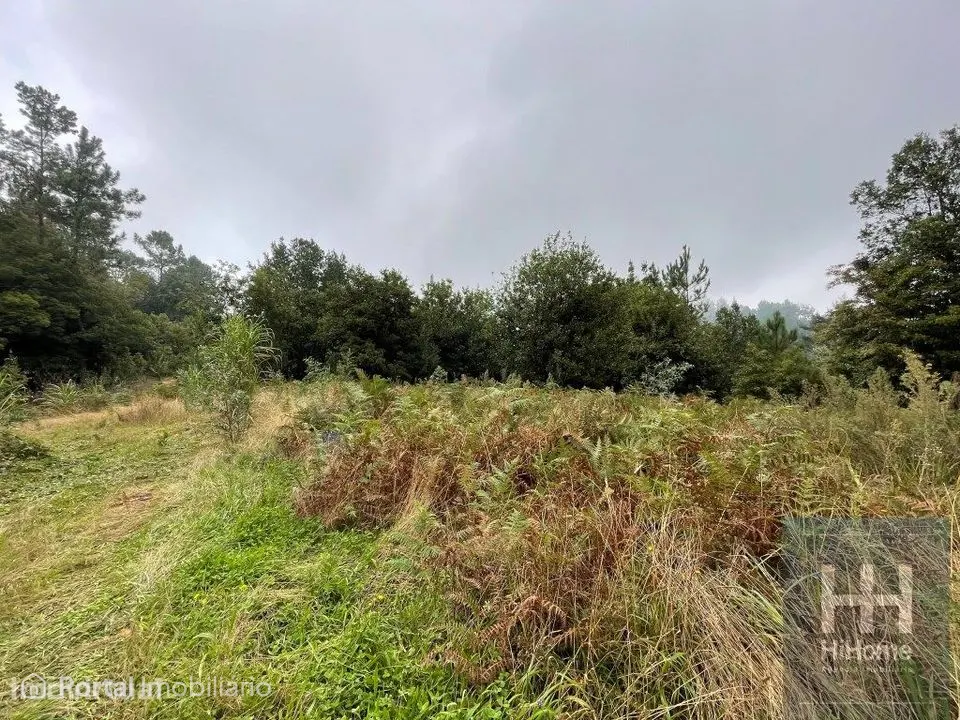 Terreno com Palheiro em São Vicente, Madeira