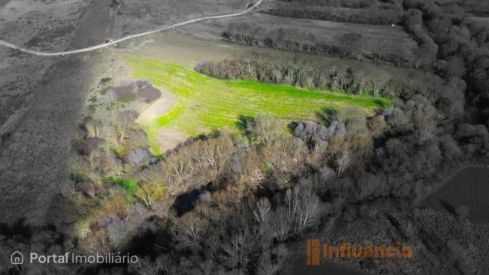 Terreno com ruína | Alcaria