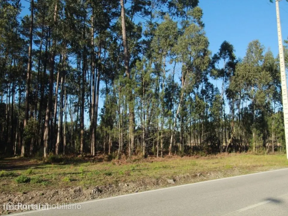 Terreno Rústico c/ 11000 m2