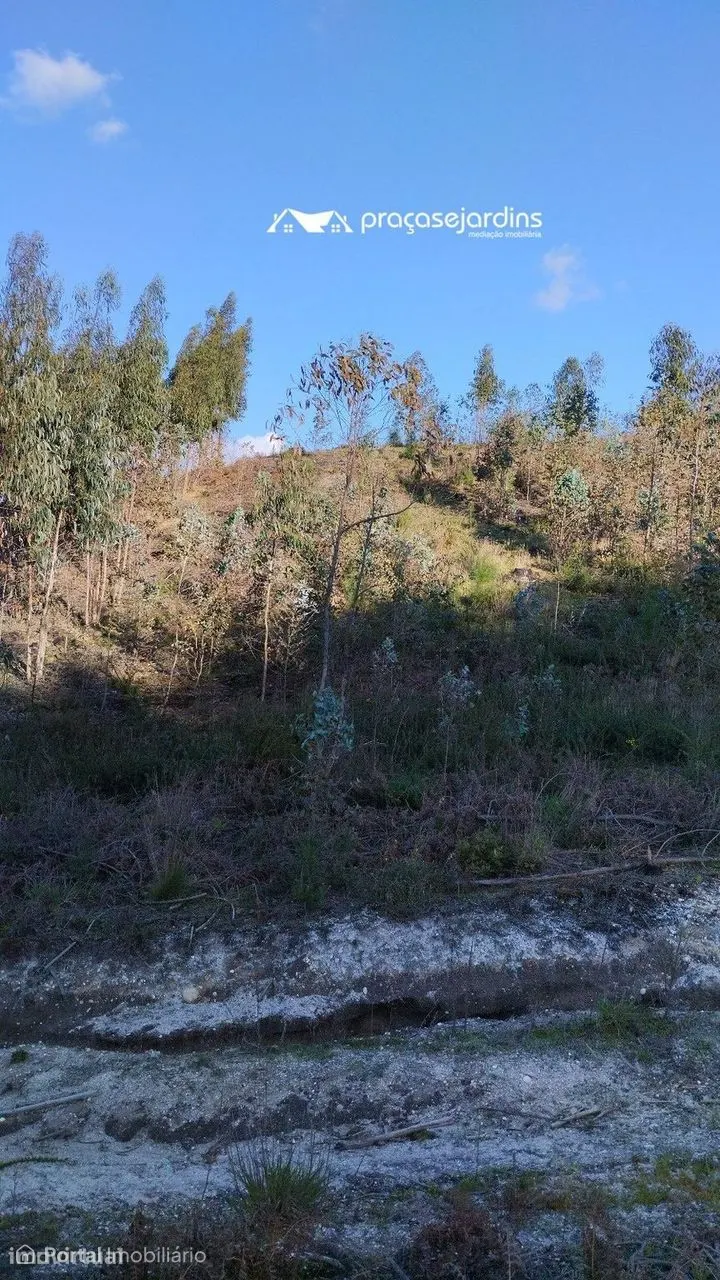 Terreno rustico
