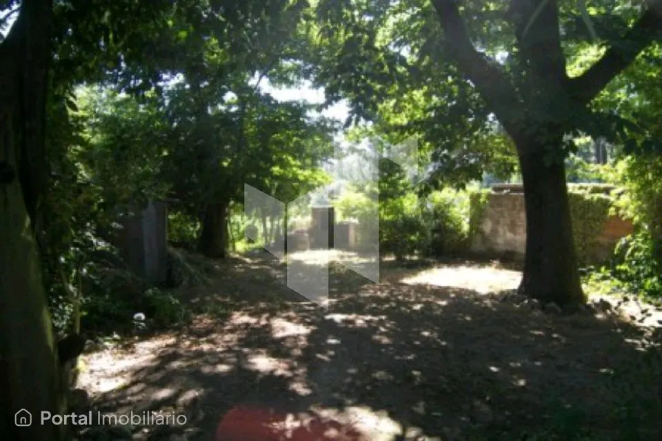 Studio farm for sale in Campo de Besteiros