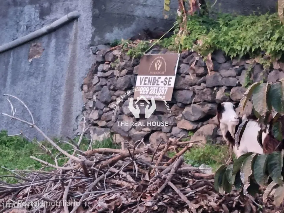 Terreno Ribeira brava