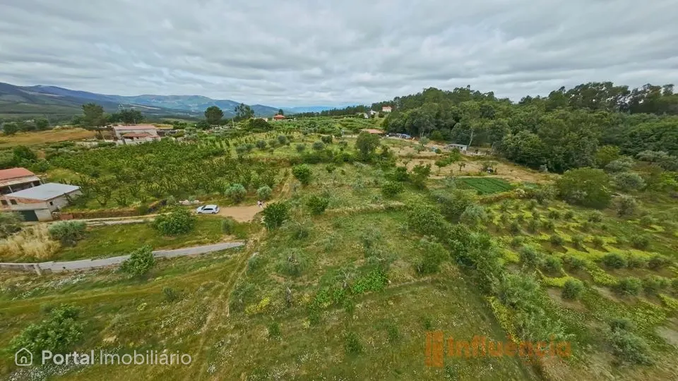 Terreno Rústico com Vista Deslumbrante - Souto da Casa (Tinalha)