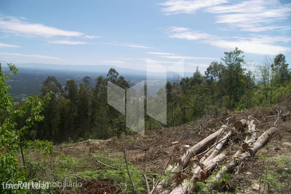 Terreno Para Construção Venda em Guardão,Tondela