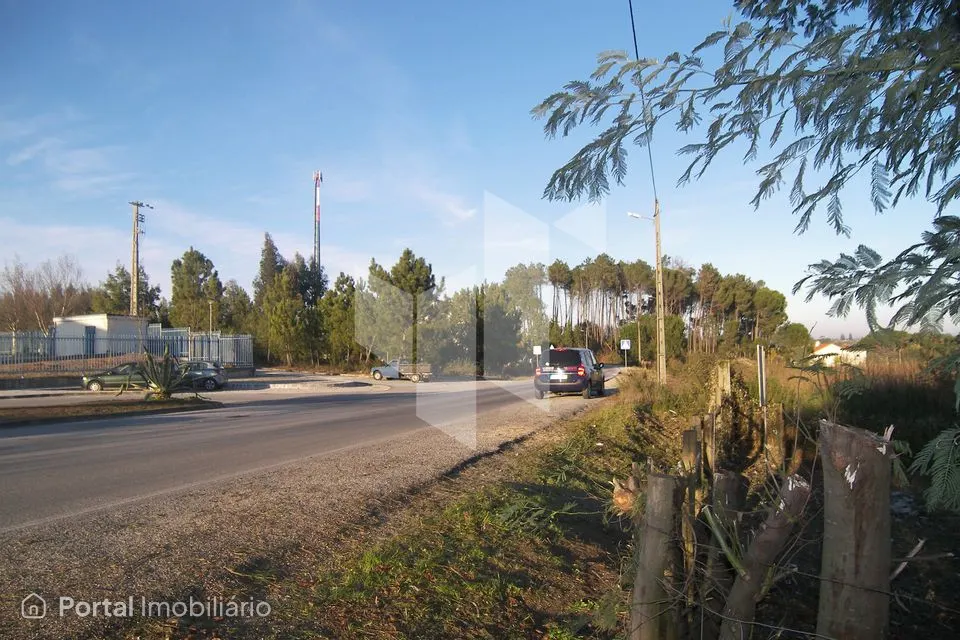 Terreno Para Construção Venda em Currelos, Papízios e Sobral,Carregal do Sal