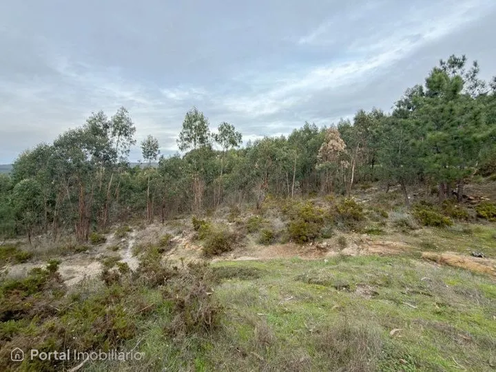 Land for sale in Torres Vedras