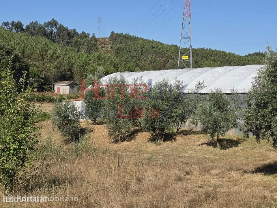 Terreno para venda no Campo, Viseu