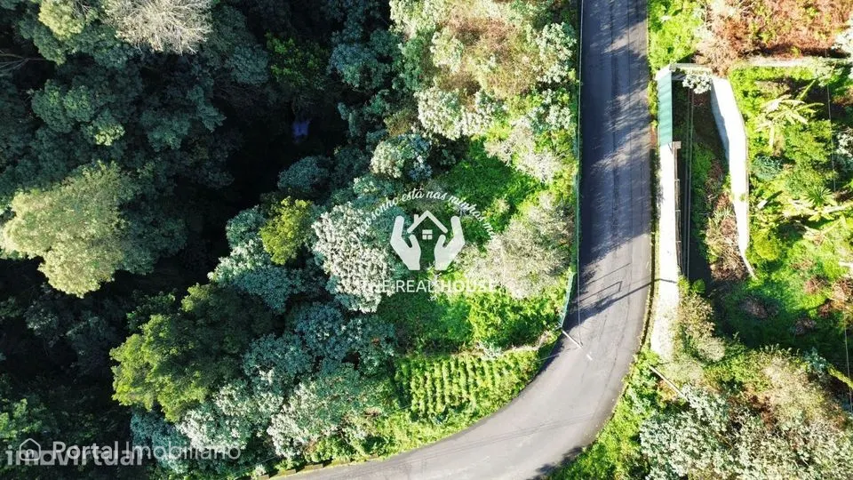 Terreno Rústico em Santo António da Serra