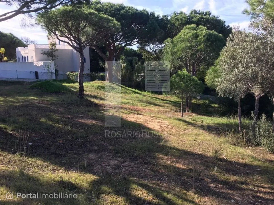 Terreno em Vilas Alvas