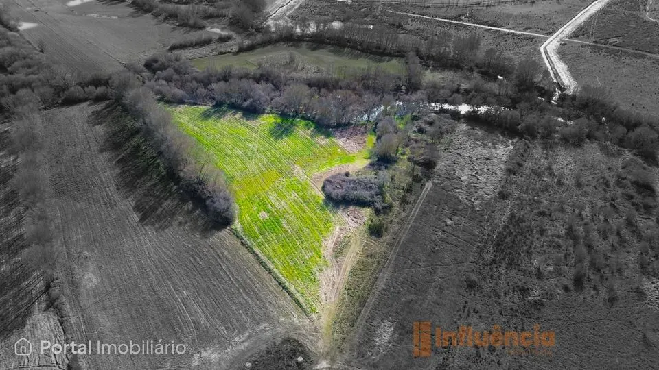 Terreno com ruína | Alcaria