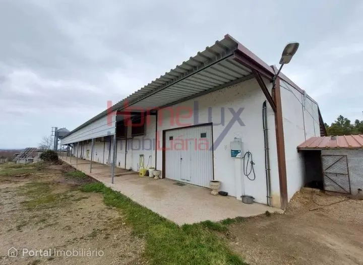 Negócio de Cunicultura para venda em Sabugal, Guarda