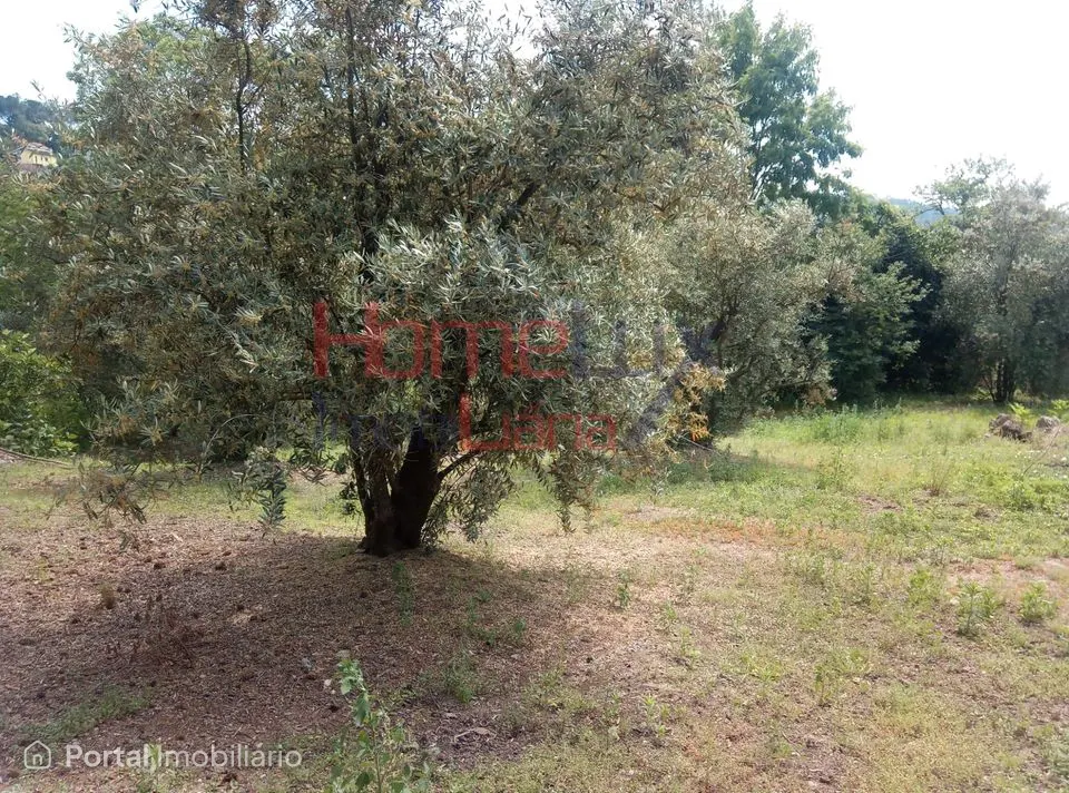 Excelente Terreno para venda em Viseu.