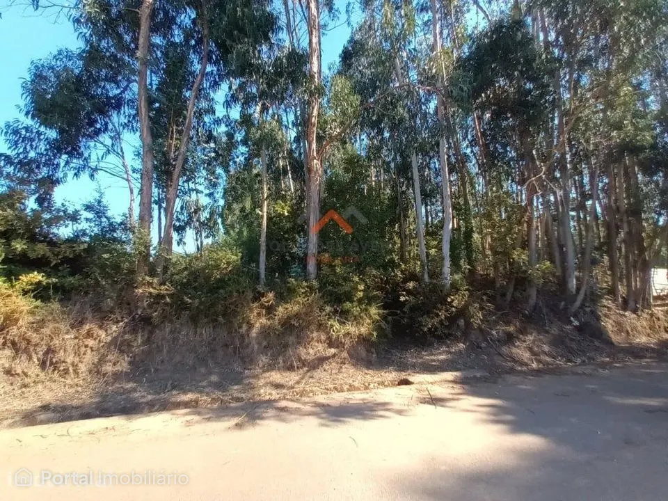 Terreno para Construção em Óis da Ribeira