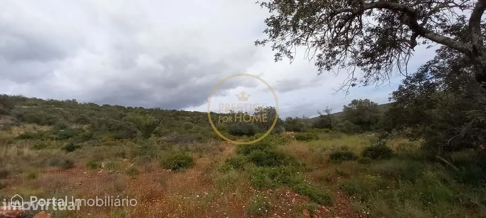 Terreno Rústico com Alfarrobeiras e Amendoeiras - 7.840 m² de Natureza