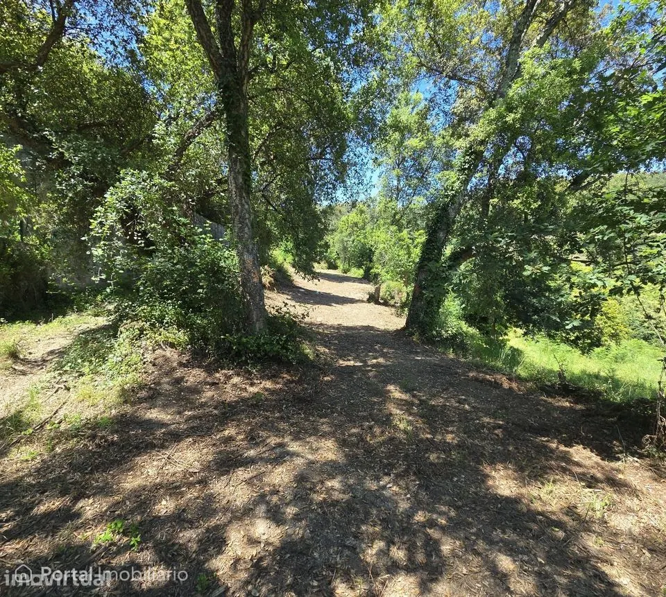 Land for sale in Dornelas