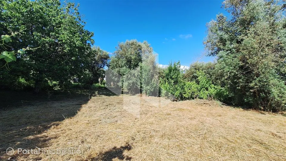 Terreno Para Construção Venda em Molelos,Tondela