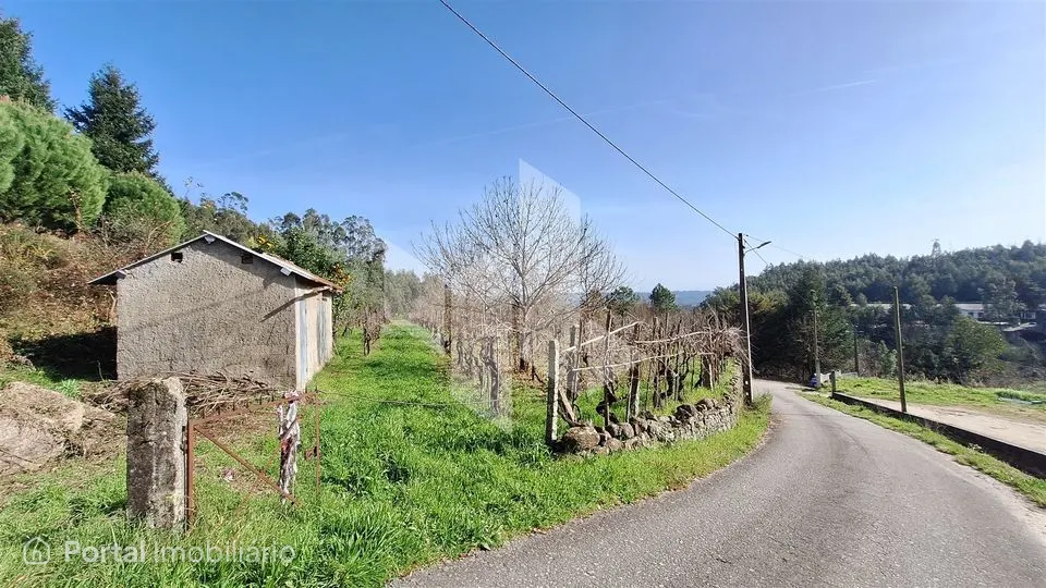 Terreno Rústico Venda em Santiago de Besteiros,Tondela