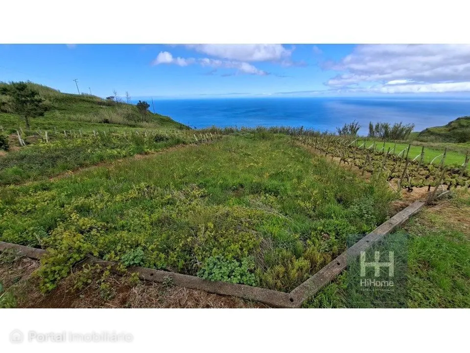 Land for sale in Fajã da Ovelha