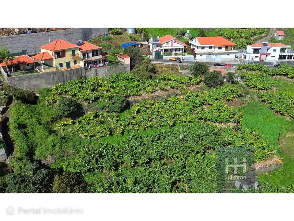 Terreno para construção de moradias com vista mar na Ribeira Brava