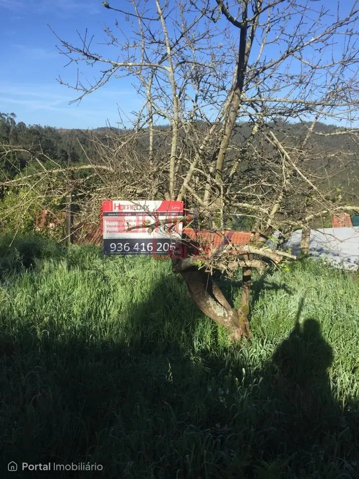 Land for sale in Branca