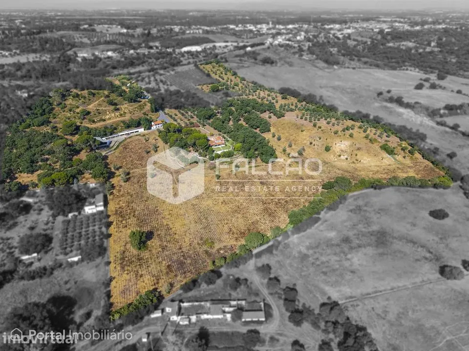 Quinta T5 Venda em Póvoa da Isenta,Santarém