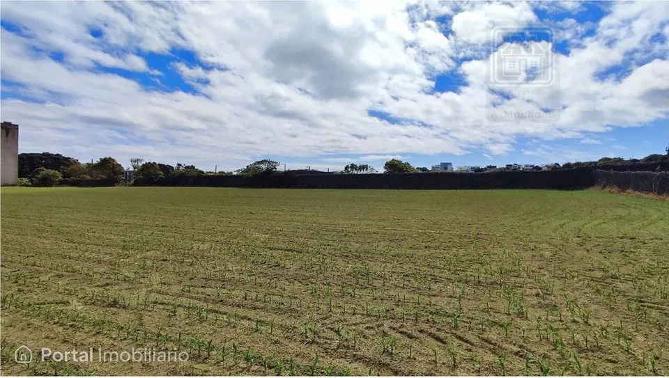 TERRENO para venda com 7.240m² de área total