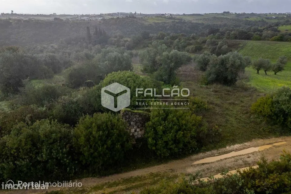 Terreno Misto Venda em Pernes,Santarém