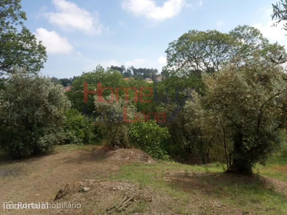 Excelente Terreno para venda em Viseu.